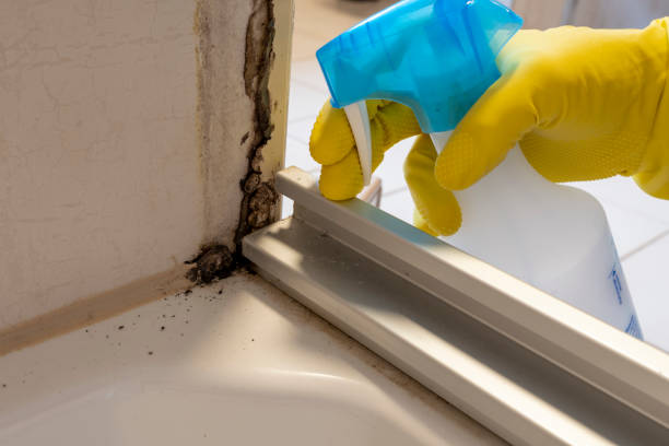 Best Post-Remediation Services in Girard, KS